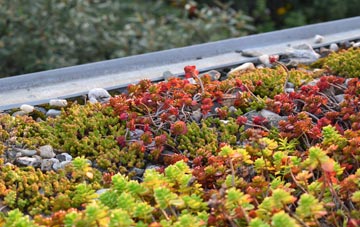 the cost of Dundraw green roof installation