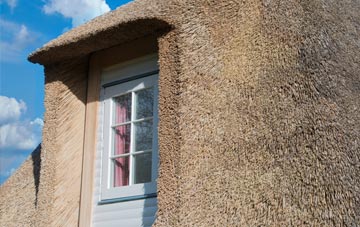 Dundraw thatch roof disadvantages